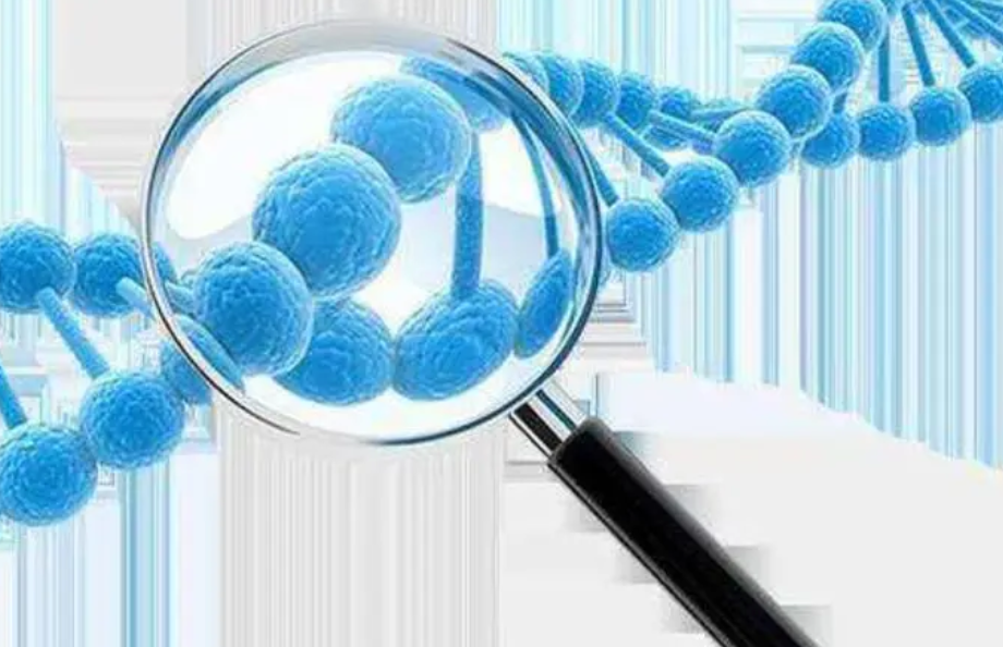 瑞丁CEF首席医生章汉旺在线解答海外试管前的检查项目及套餐费用! 瑞丁CEF首席医生章汉旺在线解答海外试管前的检查项目及套餐费用!